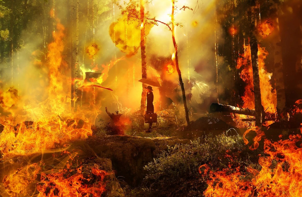 חוקרת שריפות